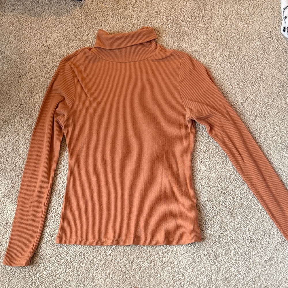 Old Navy Terracotta Ribbed Turtleneck